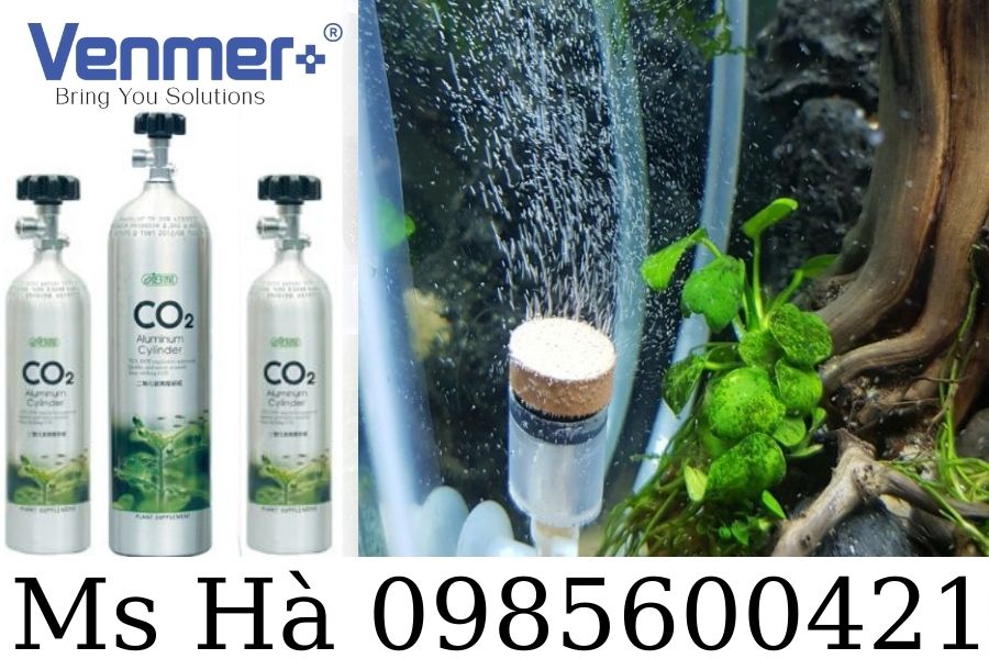 Co2 cho hồ thuỷ sinh mini