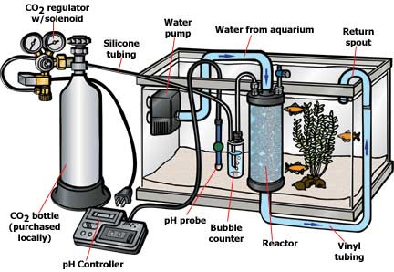 Co2 thuỷ sinh