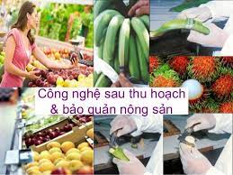 Công nghệ sau thu hoạch rau quả