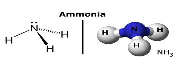 CẤU TẠO PHÂN TỬ CỦA NH3