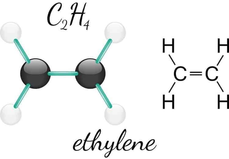 khí ethylene là gì