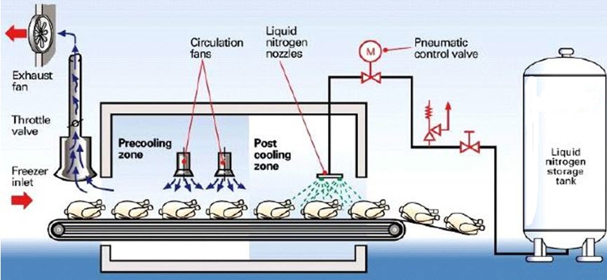 Cấp đông nhanh bằng khí nito